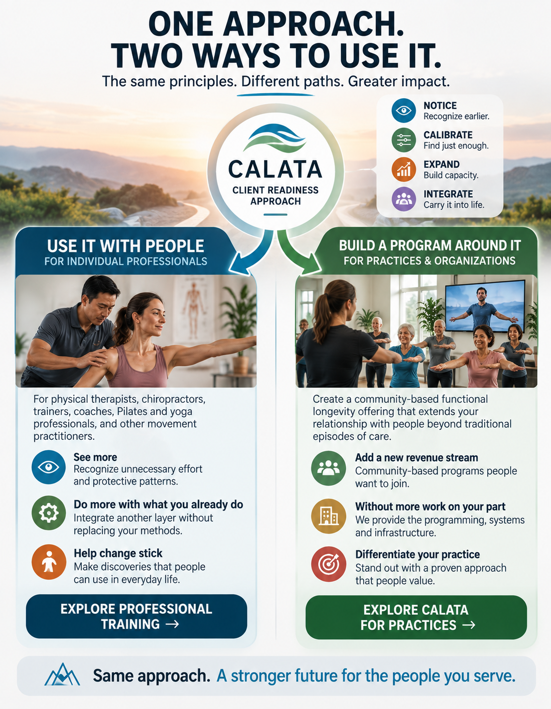 One professional approach with pathways for individual professionals and practices or organizations